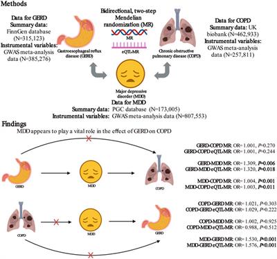 Major depressive disorder plays a vital role in the pathway from gastroesophageal reflux disease to chronic obstructive pulmonary disease: a Mendelian randomization study